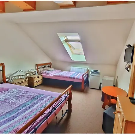 Nove Dvory Pensjonat 3*