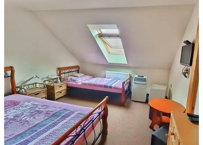 Nove Dvory بيت ضيافة 4*